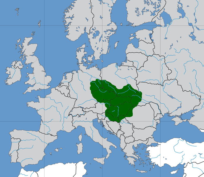 File:Great moravia svatopluk.png