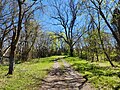 Green River State Forest