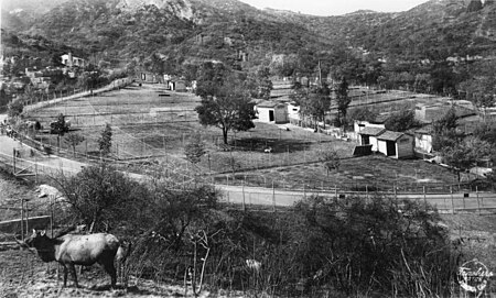 Griffith Park Zoo (B9957)