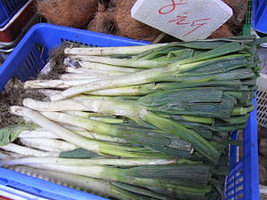 HK SYP Best of Best Vegetable Peking Welsh onion Allium Aug-2012.JPG