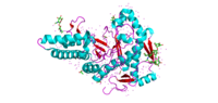 Thumbnail for Hyaluronidase deficiency