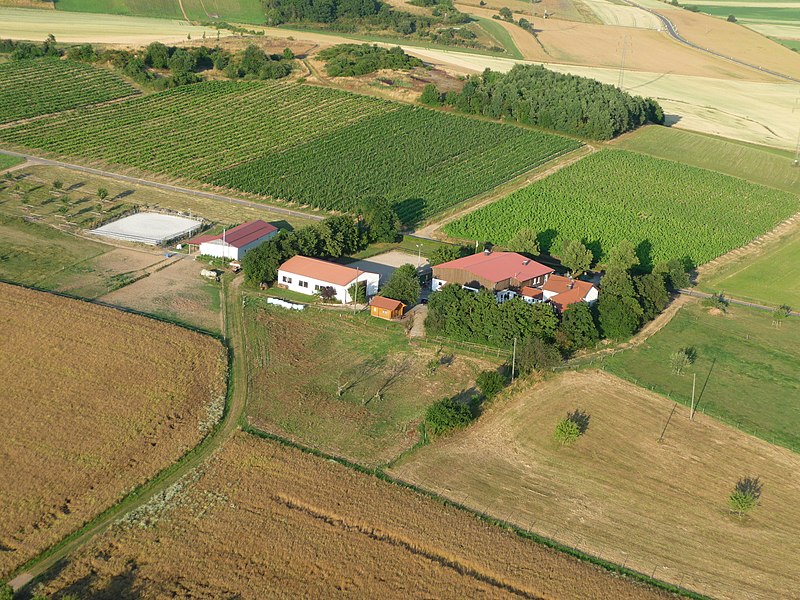 File:Hahner Hof bei Schloßböckelheim - panoramio.jpg