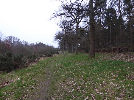 Harlestone Heath south 6