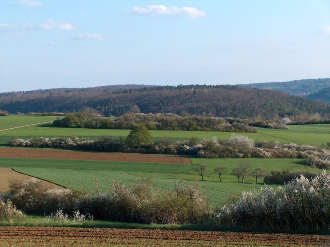 Heckengäu