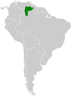 Distribución geográfica del tiluchí del Roraima.