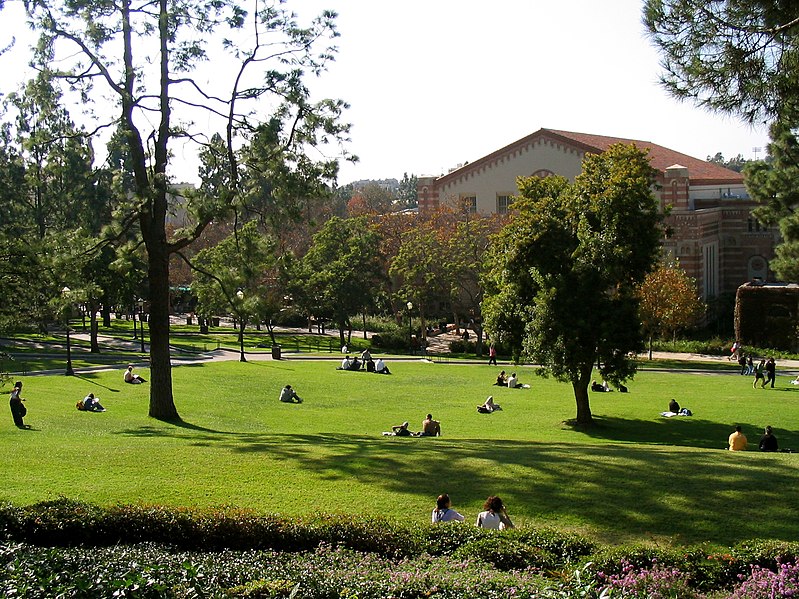 File:Hill overlooking men's gym, UCLA.jpg