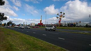 Royal Hobart Show