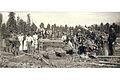 Hop pickers with baskets and hop boxes, unidentified farm, probably Puget Sound region, Washington, ca 1900 (HESTER 252).jpeg