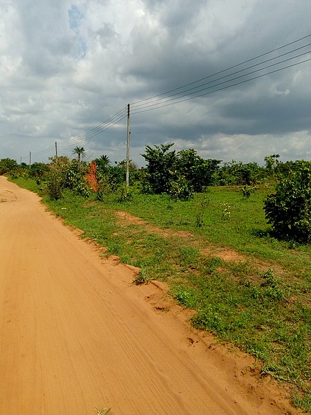 File:Huge anthill in Obiaruku Delta state Nigeria.jpg