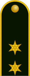 File:Hungary-Army-OF-1b shoulder.svg