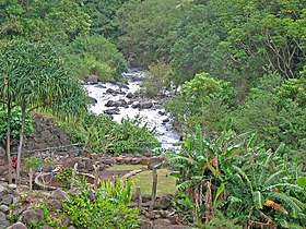 Iao Stream