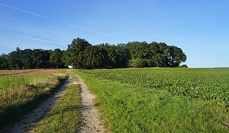 Ilkenberg, Suhlendorf