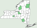 Impatiens glandulifera NY-dist-map.png