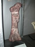 The femur of the holotype on display Isanosaurus attavipachi femur.JPG