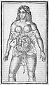 J. Sharp, "The Compleat Midwife's Companion..." Wellcome L0028113.jpg