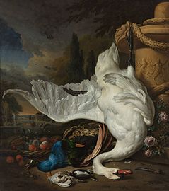 The Dead Swan label QS:Len,"The Dead Swan" label QS:Lpl,"Martwy łabędź" label QS:Lnl,"Dode zwaan" 1716. oil on canvas medium QS:P186,Q296955;P186,Q12321255,P518,Q861259 . 173 × 154 cm (68.1 × 60.6 in). Rotterdam, Museum Boijmans Van Beuningen.