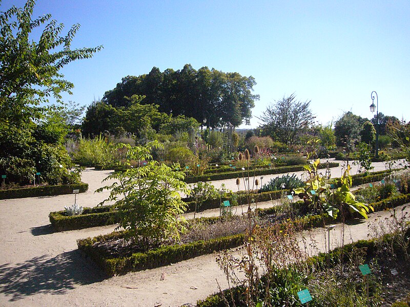 File:Jardin historique - Evêché de Limoges.JPG