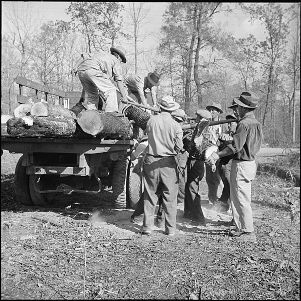 File:Jerome Relocation Center, Denson, Arkansas. Loading cut timber for hauling to the center operated s . . . - NARA - 538823.jpg