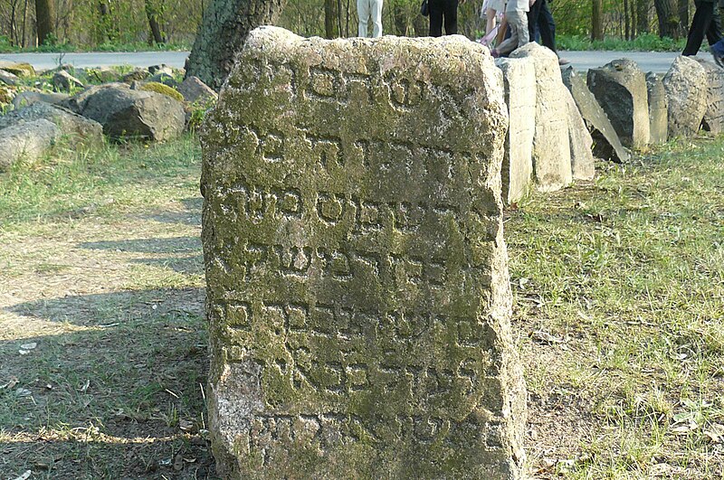 File:Jewish cemetery in Poznan Milostowo.JPG