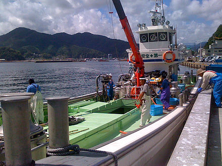 Fishing boat in Kamaishi