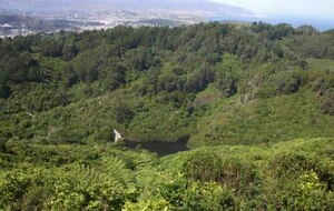 File:Karori reservoir 1988 vs 2012.ogv