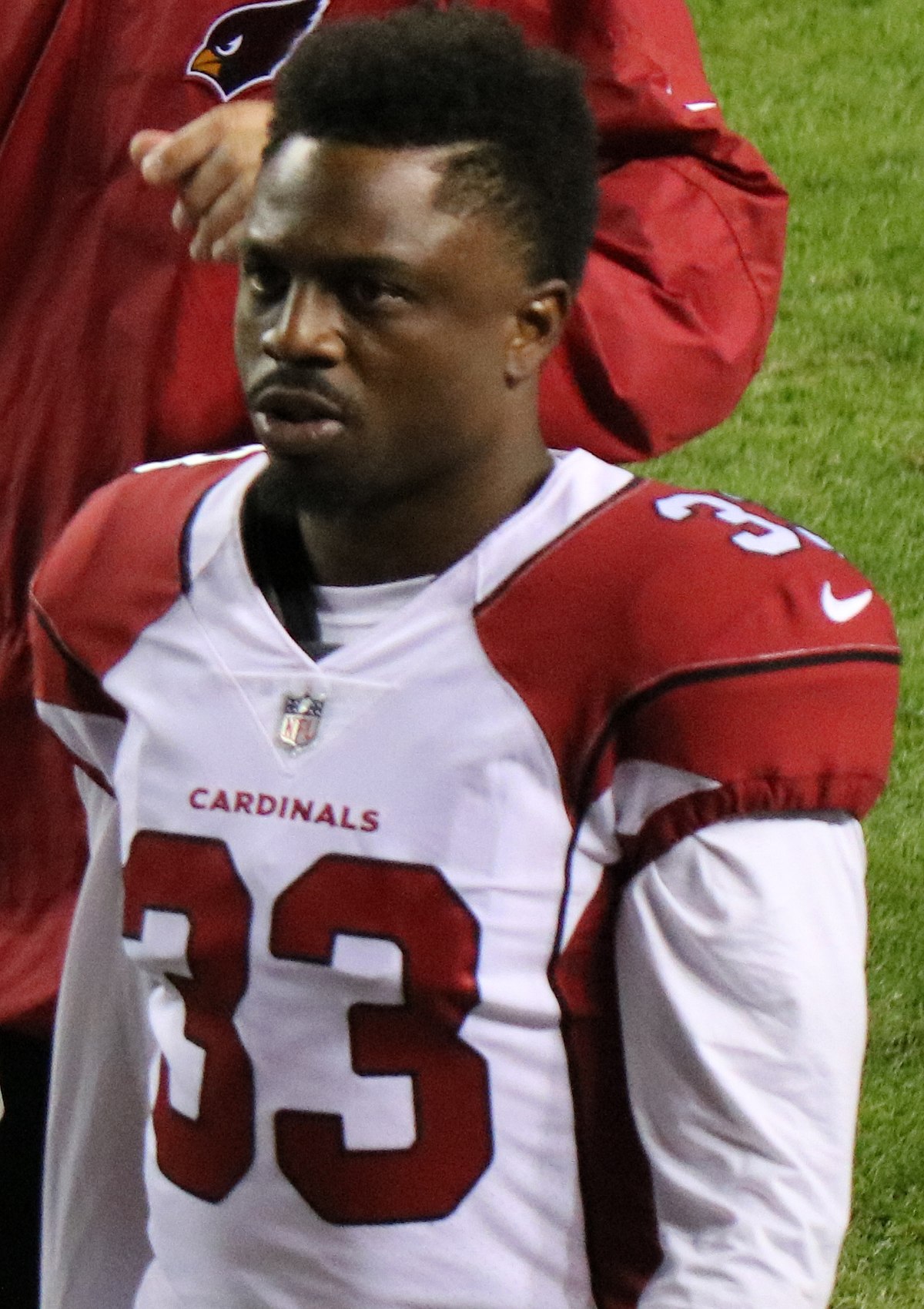 David Johnson (running back) - Wikipedia