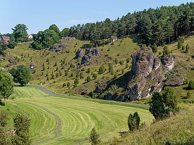 Juniper slopes in the Kleinziegenfelder valley in the Franconian Switzerland