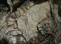 Карпа: Магматски карпи, Седиментни карпи, Метаморфни карпи