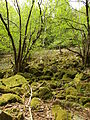 Čeština: Příroda a lidé v centrální části Brd mezi Mníškem pod Brdy a Dobříší nápověda English: Nature and people in central part of Brdy between Mníšek pod Brdy and Dobříš in Central Bohemian region, CZ help