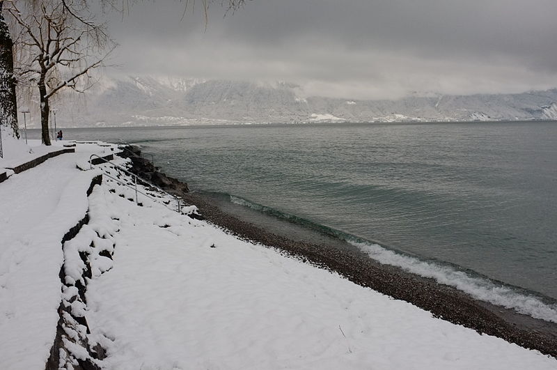 File:Lac Leman in Winter.JPG