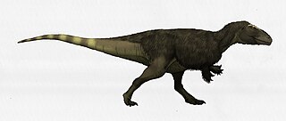 <i>Lajasvenator</i> Genus of carcharodontosaurid (fossil)