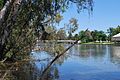 English: Lake Benalla in Benalla, Victoria