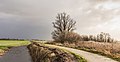 * Nomination Langweerderwielen (Langwarder Wielen). Stormy wind and heavy rain showers above Langweerderwielen. --Famberhorst 06:52, 16 January 2019 (UTC) * Promotion There is a spot at the very left, is that a bird? --Ermell 07:34, 16 January 2019 (UTC) And I think that you need to correct a horizonthal line... --Tournasol7 08:07, 16 January 2019 (UTC) :@Ermell:  Done. Small correction. The ascending line on the left is the ramp to the viaduct over the A7. Thanks for your reviews.--Famberhorst 16:34, 16 January 2019 (UTC)  Support Good quality. --Ermell 13:25, 18 January 2019 (UTC)