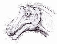 Lemurosaurus Lemurosaurus.jpg