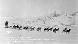 Leonhard Seppala's winning Siberian team for the 1916 All-Alaska Sweepstakes race. Leonhard Seppala and his winning dogsled team during 9th All-Alaska Sweepstakes dogsled race, Ruby, Alaska, 1916 (AL+CA 6486).jpg