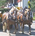 Leonhardifest Siegertsbrunn 2006-4.jpg