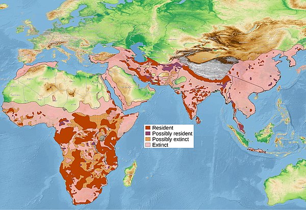 Image: Leopard distribution