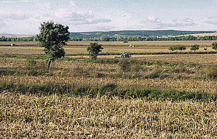 Peleagonzalo (comarca Duero Bajo - Samora), 23 d'octubre de 2003