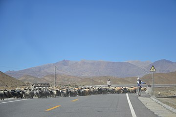 Lhatse, Xigaze, Tibet, China - panoramio.jpg
