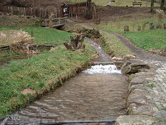 The Linderbach in the Frammersbach herb garden