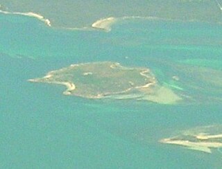 Little Dog Island island in Tasmania, Australia