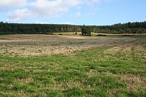 Kirkhill Forest