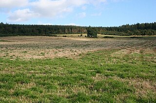 Looking Towards Kirkhill Forest