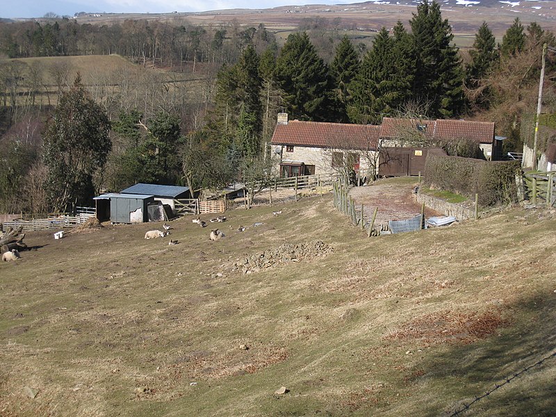 File:Looking down to Bogg House - geograph.org.uk - 1753664.jpg