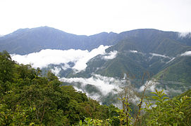 Fuktig djungel Los Yungas, La Paz