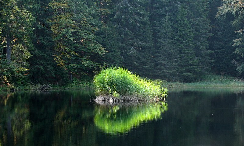 File:Lovrenška jezera - Jezerska jama.jpg