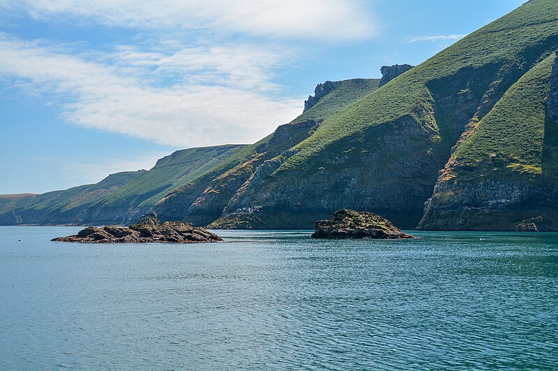 File:Lundy Island , Knoll Pins - geograph.org.uk - 5852385.jpg