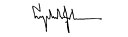 Lyndon B. Johnson signature