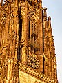 * Nomination Cages on the tower of St. Lamberti Church in the light of the setting sun, Münster, North Rhine-Westphalia, Germany --XRay 04:39, 25 January 2021 (UTC) * Promotion  Support Good quality -- Johann Jaritz 04:43, 25 January 2021 (UTC)