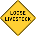 W17-3T Loose livestock